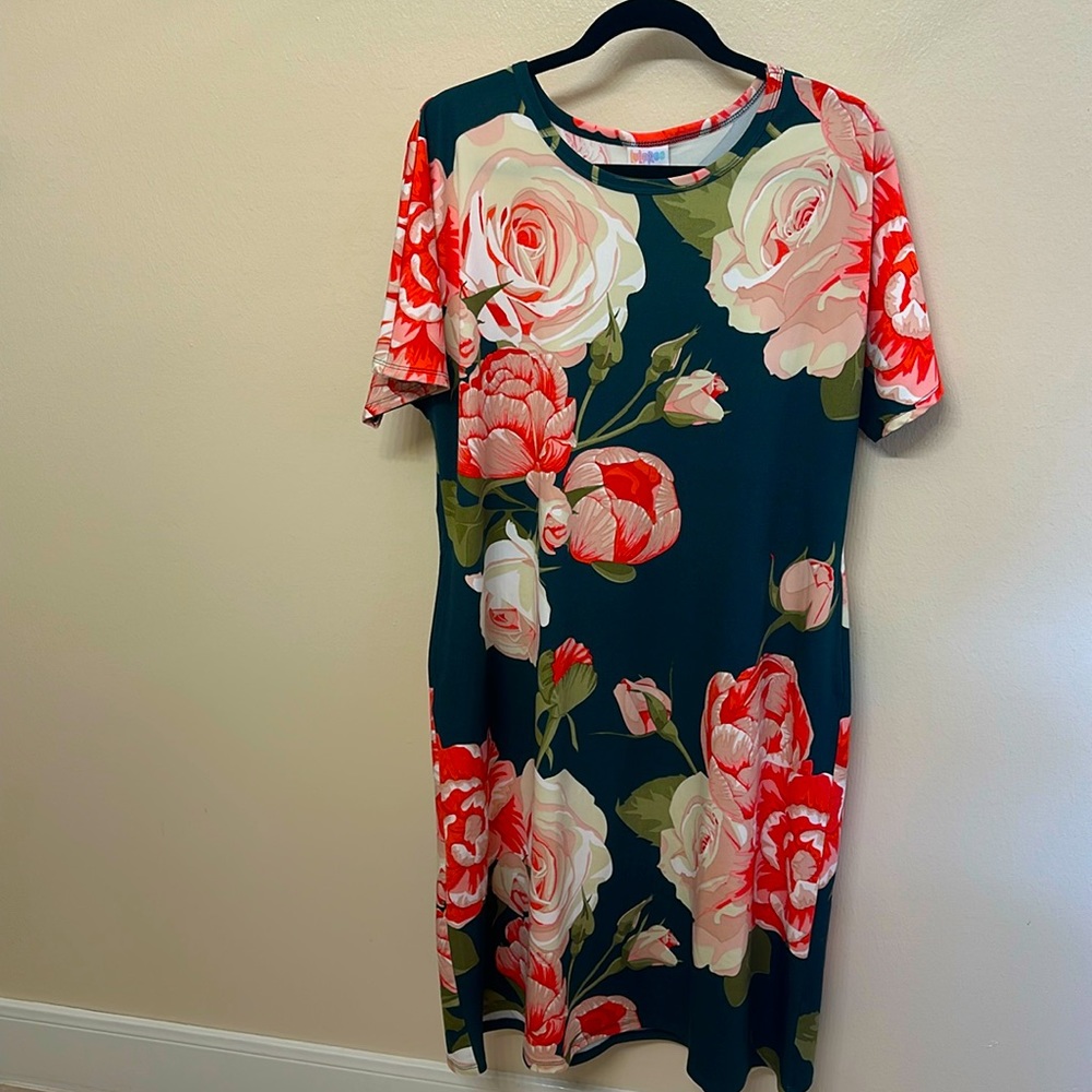 2xl LuLaRoe belted dress with pockets
